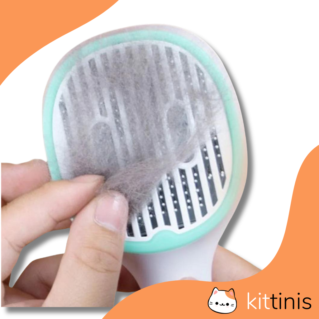 LUXBRUSH (UV-Zeckenbürste)