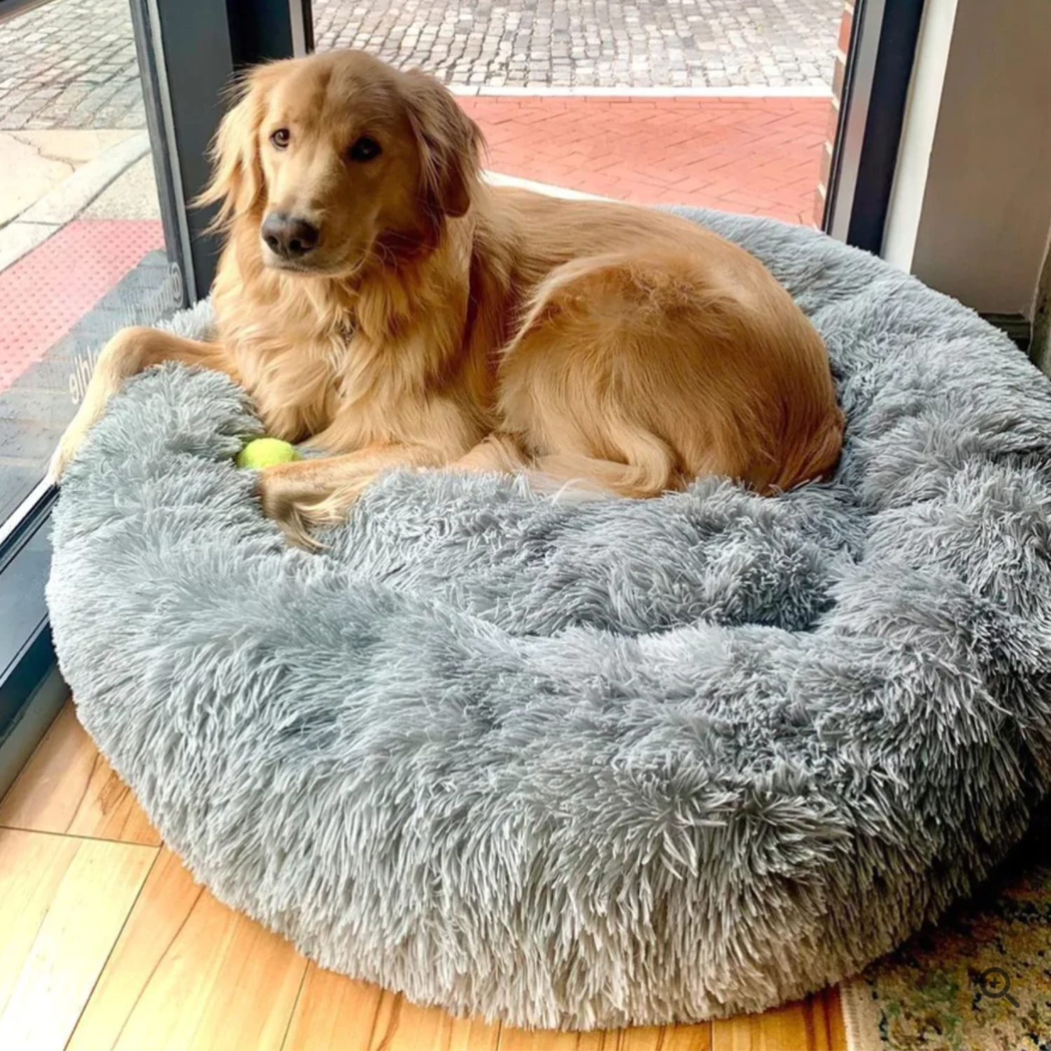 hundebett wolke Das bestbewertete Hundebett von Tiertherapeuten entwickelt – Pfoten Paradies