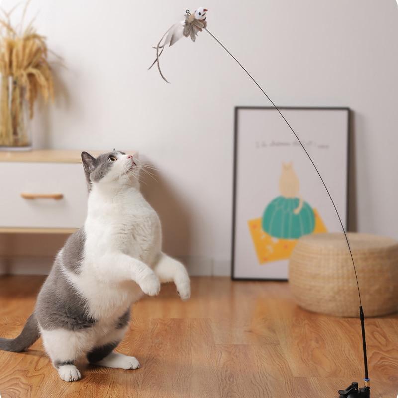 Katzen-Spielzeug mit Saugnapf - vielseitig, langlebig, schult Jagdinstinkt_test