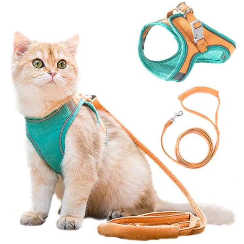 Ausbruchsicheres Premium Katzengeschirr