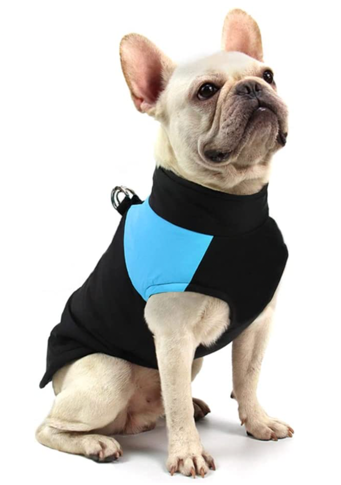 Winter-Hundejacke / Hundeweste / Hundemantel