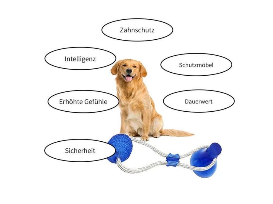 hundespielzeug blau des jahres