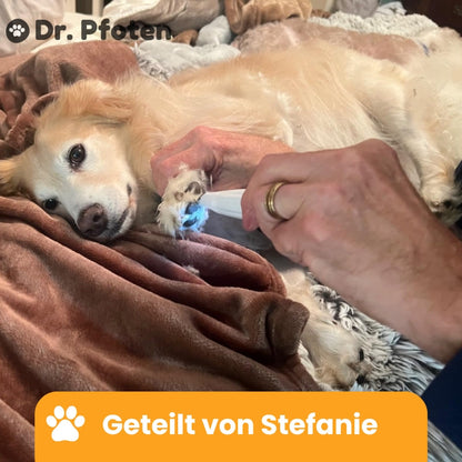 PawTrim Pro™ Pfotentrimmer - Schmerzfreie Pfotenpflege in Sekundenschnelle