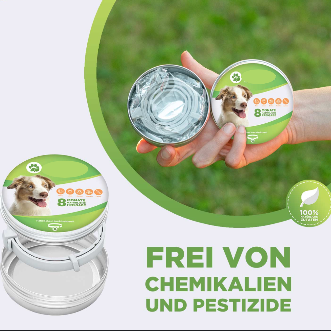 Anti Zecken & Flöhe Halsband für Hunde und Katzen mit ätherischen Ölen –  Pfoten Paradies