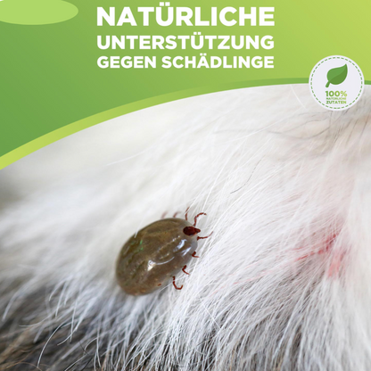 Anti Zecken & Flöhe Halsband für Hunde und Katzen mit ätherischen Ölen - wirkt 8 Monate lang_natürliches mittel gegen zecken_15