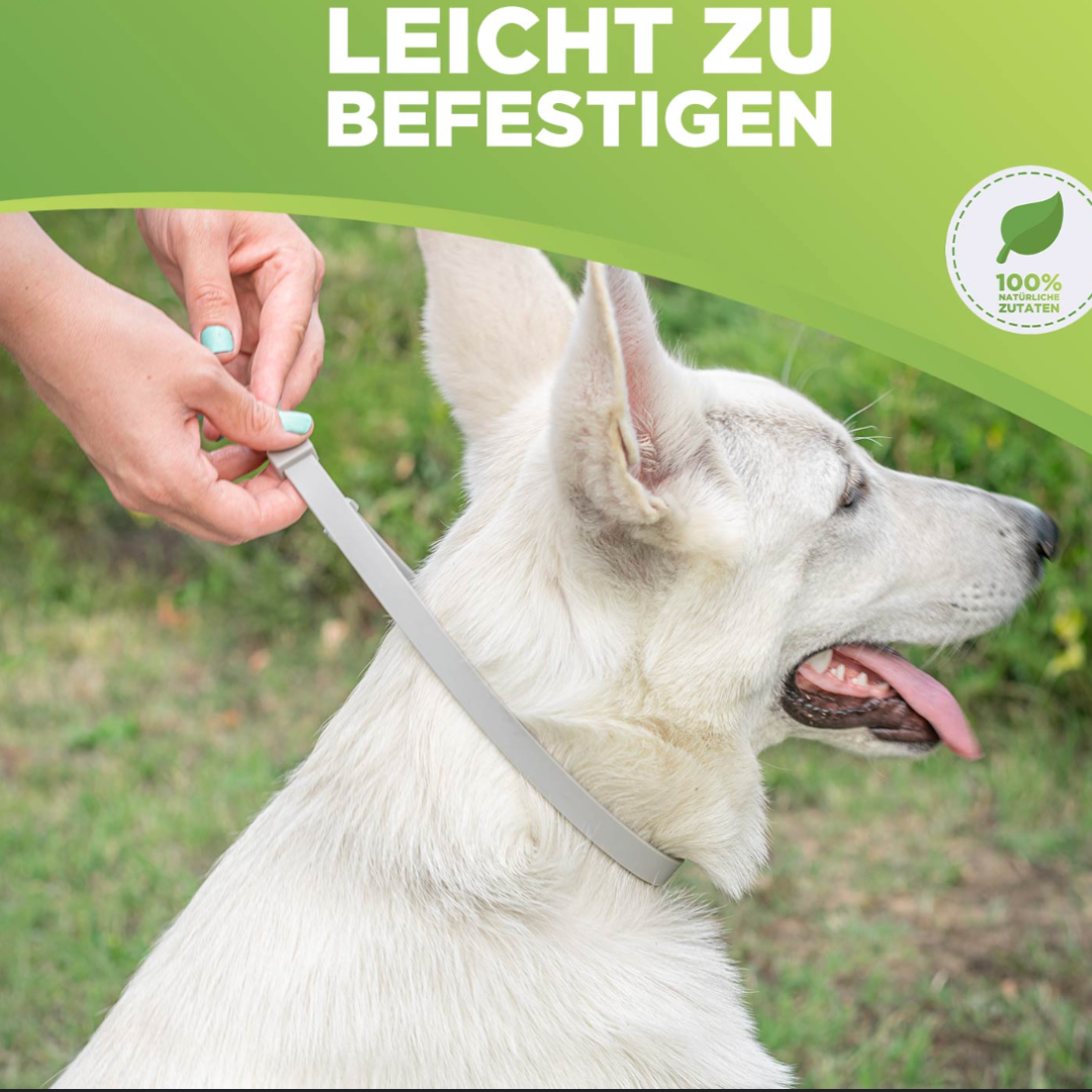 Anti Zecken & Flöhe Halsband für Hunde und Katzen mit ätherischen Ölen –  Pfoten Paradies