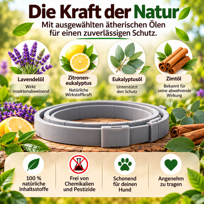 1+1 Gratis I Anti Floh- und Zeckenhalsband - Wirkt 8 Monate gegen Zecken & Flöhe