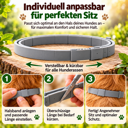 1+1 Gratis I Anti Floh- und Zeckenhalsband - Wirkt 8 Monate gegen Zecken & Flöhe
