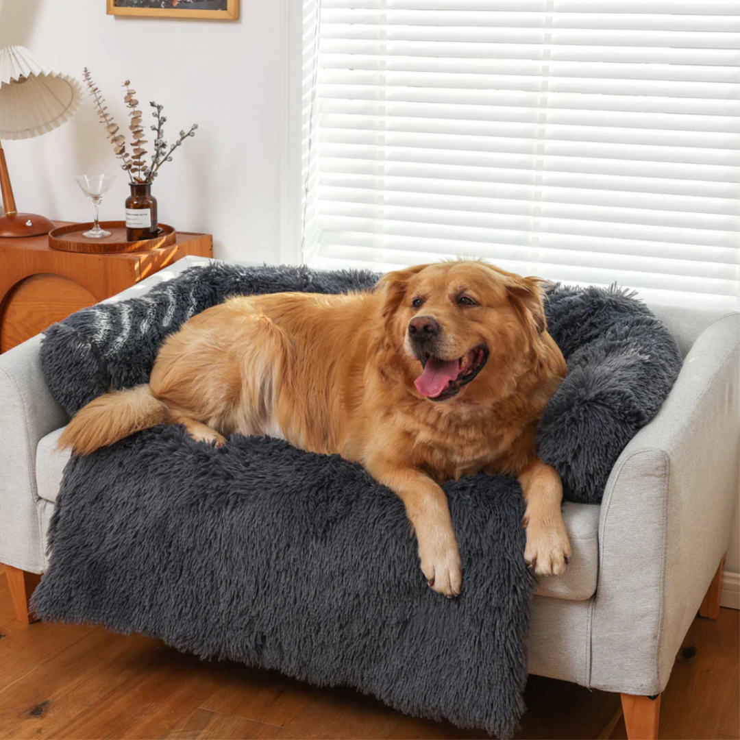 Kuscheliges Hunde-Sofabett "Wolkentraum" - Anti-Stress, wasserdicht, leicht waschbar_anthrazit