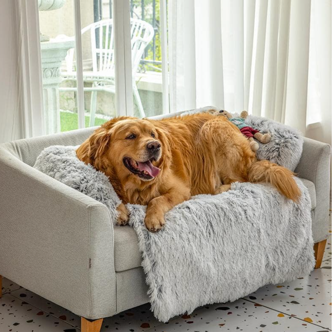 Kuscheliges Hunde-Sofabett "Wolkentraum" - Anti-Stress, wasserdicht, leicht waschbar_grau_2