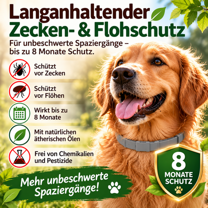 1+1 Gratis I Anti Floh- und Zeckenhalsband - Wirkt 8 Monate gegen Zecken & Flöhe