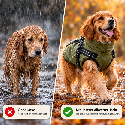 Allwetter-Hundejacke - wasserdicht, verstellbar