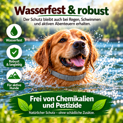 1+1 Gratis I Anti Floh- und Zeckenhalsband - Wirkt 8 Monate gegen Zecken & Flöhe
