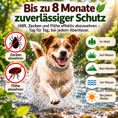 1+1 Gratis I Anti Floh- und Zeckenhalsband - Wirkt 8 Monate gegen Zecken & Flöhe