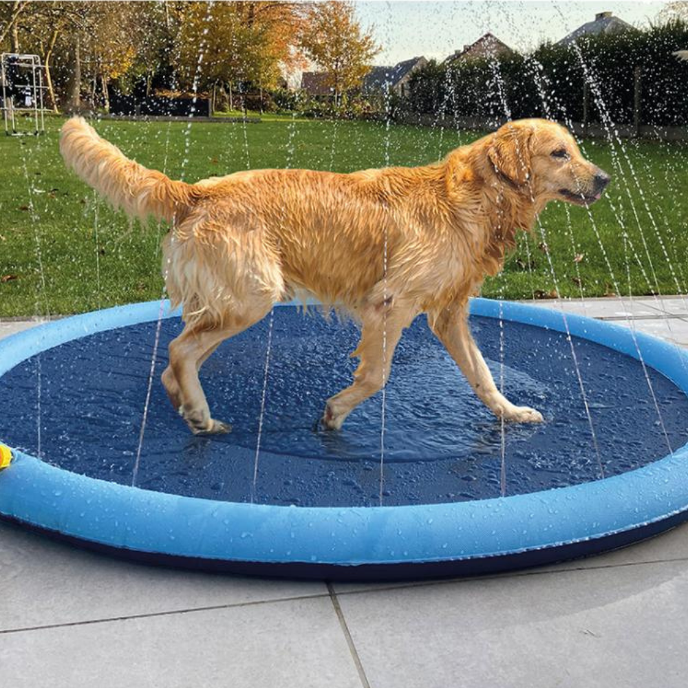 Hunde-Sprinklermatte I Hundebad I Hundepool für kleine und große Hunde I Faltbarer Planschbecken