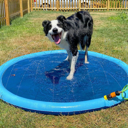 Hunde-Sprinklermatte I Hundebad I Hundepool für kleine und große Hunde I Faltbarer Planschbecken