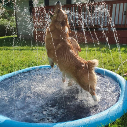 Hunde-Sprinklermatte I Hundebad I Hundepool für kleine und große Hunde I Faltbarer Planschbecken