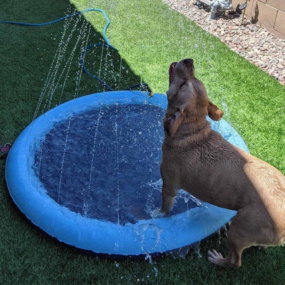 Hunde-Sprinklermatte I Hundebad I Hundepool für kleine und große Hunde I Faltbarer Planschbecken
