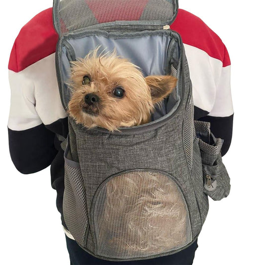 Hunde Tragerucksack