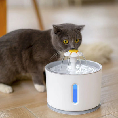 Trinkbrunnen für Katzen - Testsieger