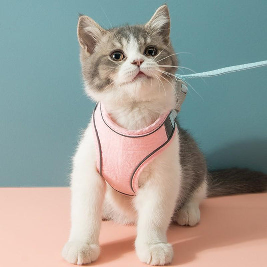 Ausbruchsicheres Premium Katzengeschirr