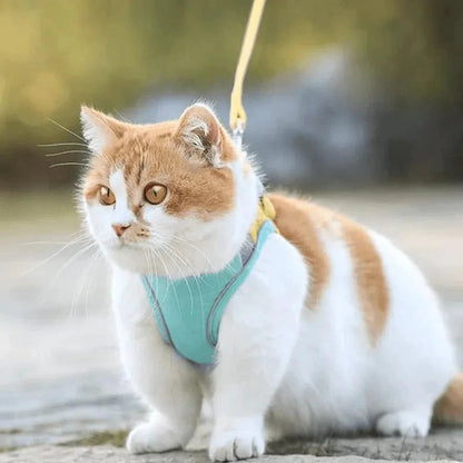 Ausbruchsicheres Premium Katzengeschirr