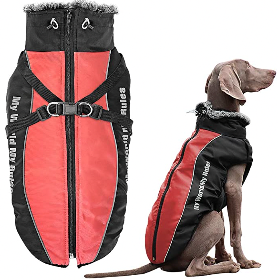 Allwetter Hundejacke mit Innenfutter und integriertem Geschirr