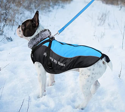 Allwetter Hundejacke mit Innenfutter und integriertem Geschirr blau 10