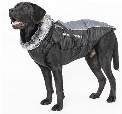 Allwetter Hundejacke mit Innenfutter und integriertem Geschirr grau 11