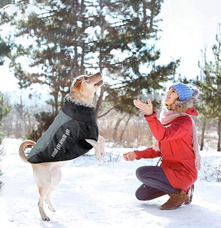 Allwetter Hundejacke mit Innenfutter und integriertem Geschirr grau 12