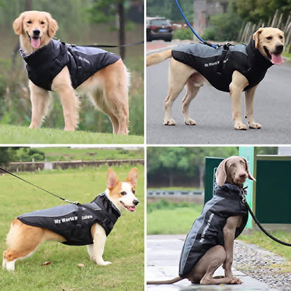 Allwetter Hundejacke mit Innenfutter und integriertem Geschirr grau hunderassen