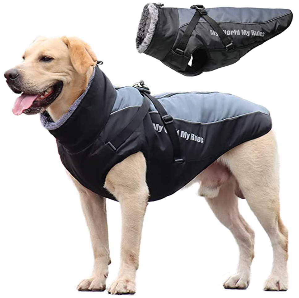 Allwetter Hundejacke mit Innenfutter und integriertem Geschirr grau 14