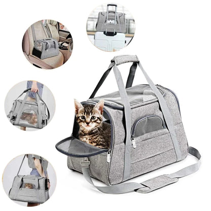 Robuste Transporttasche für Katzen