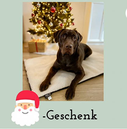 Selbstheizende Wärmematte / Wärmebett für Hunde -L (78X60CM)