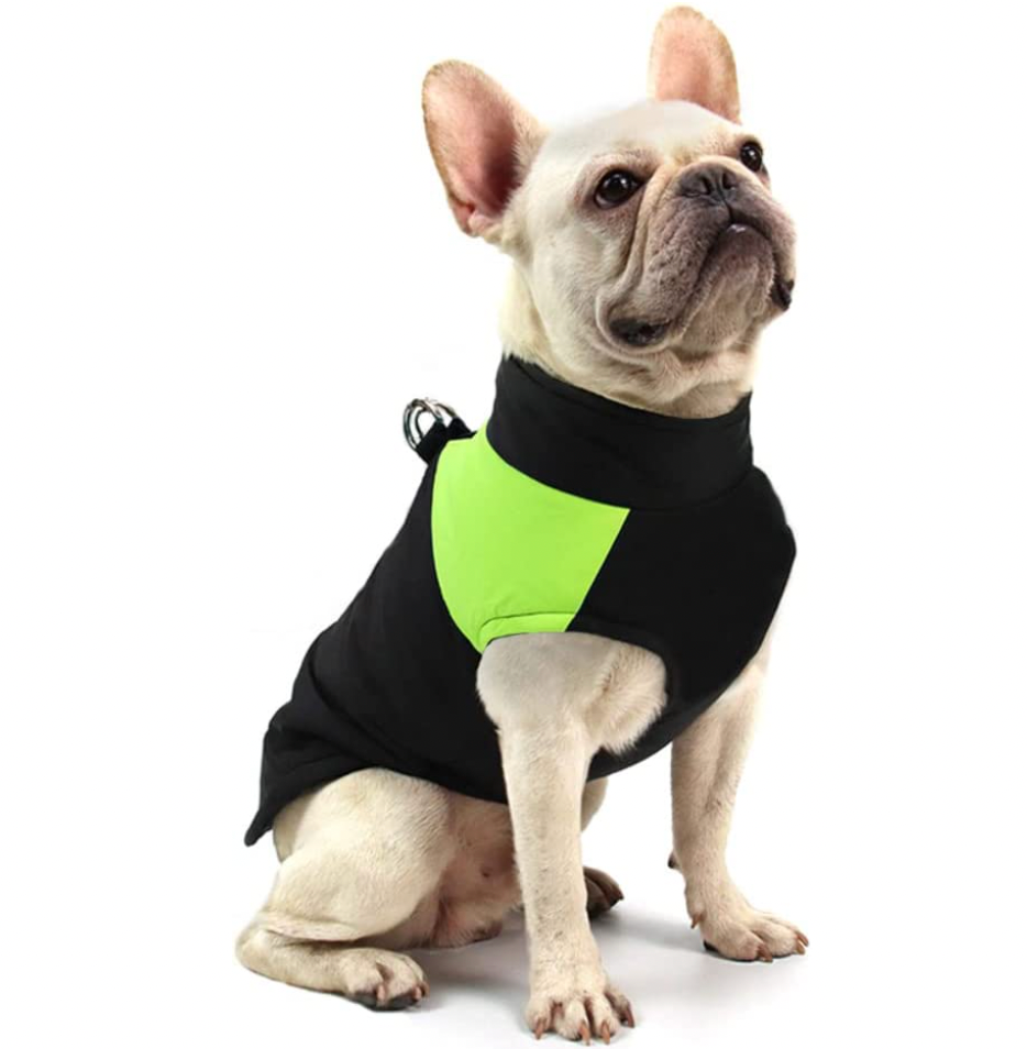Winter-Hundejacke / Hundeweste / Hundemantel - wasserdicht, warm & weich_grün 2_bulldogge