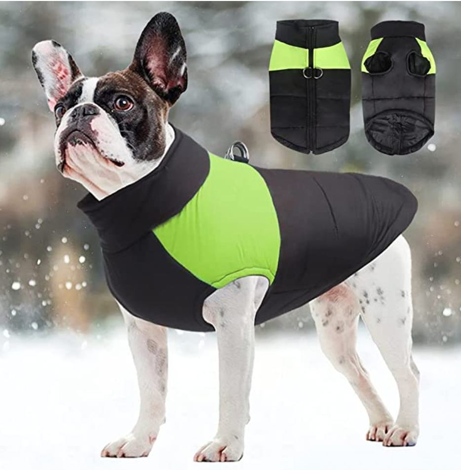 Winter-Hundejacke / Hundeweste / Hundemantel - wasserdicht, warm & weich_grün_bulldogge