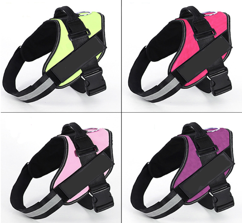 Flexy™ Power Hundegeschirr, strapazier- und anpassbar kleine hunde