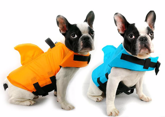 hunde schwimmweste