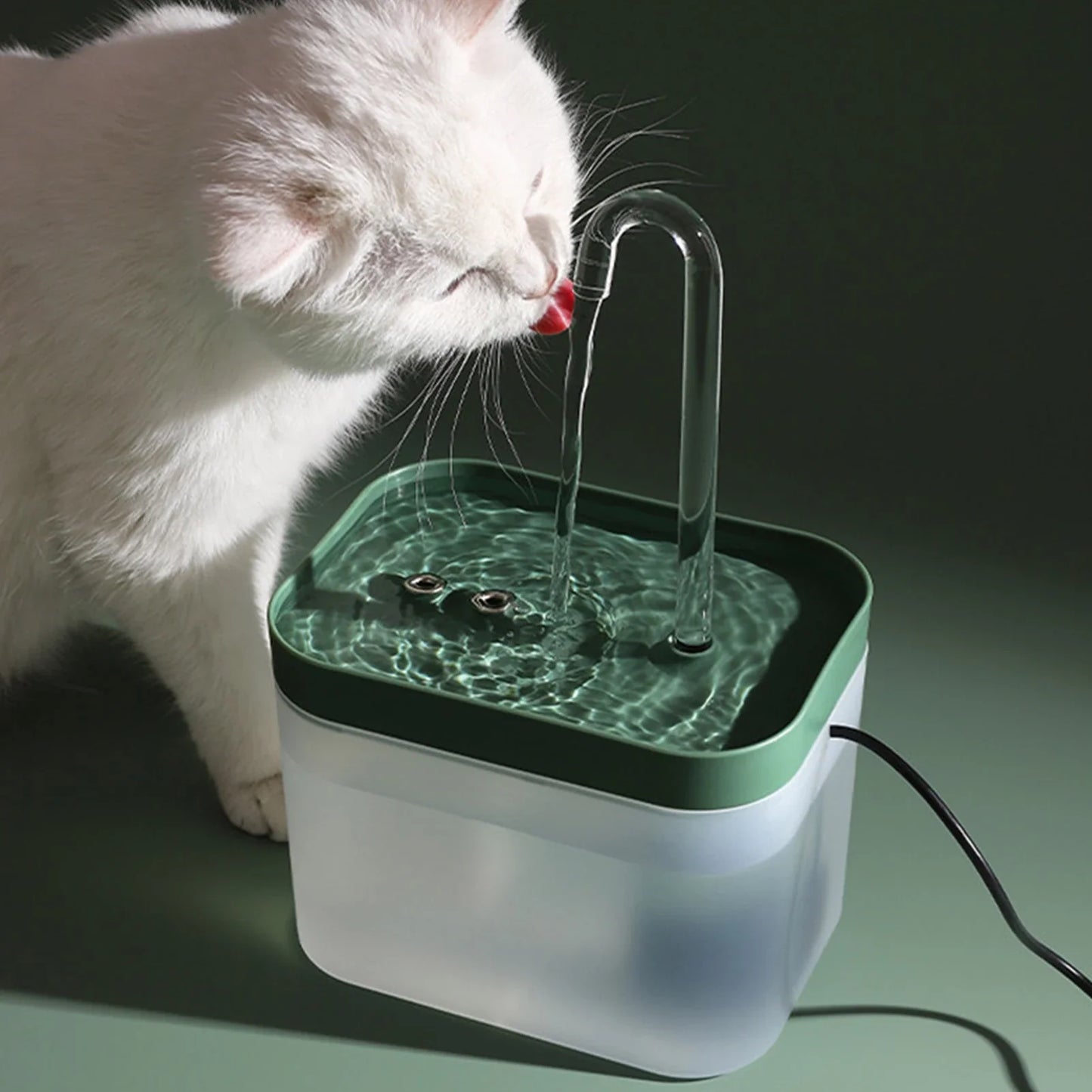 Katzen Trinkbrunnen - Katzenbrunnen mit Wasserfilter