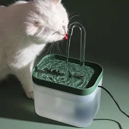 Katzen Trinkbrunnen - Katzenbrunnen mit Wasserfilter