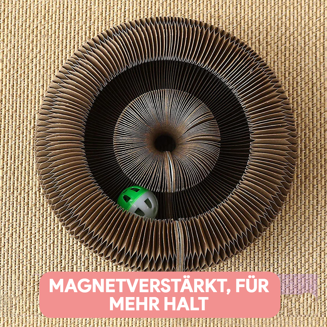 Deinlieblingstier Katzenspielzeug - Magisches Orgel Kratzbrett_3