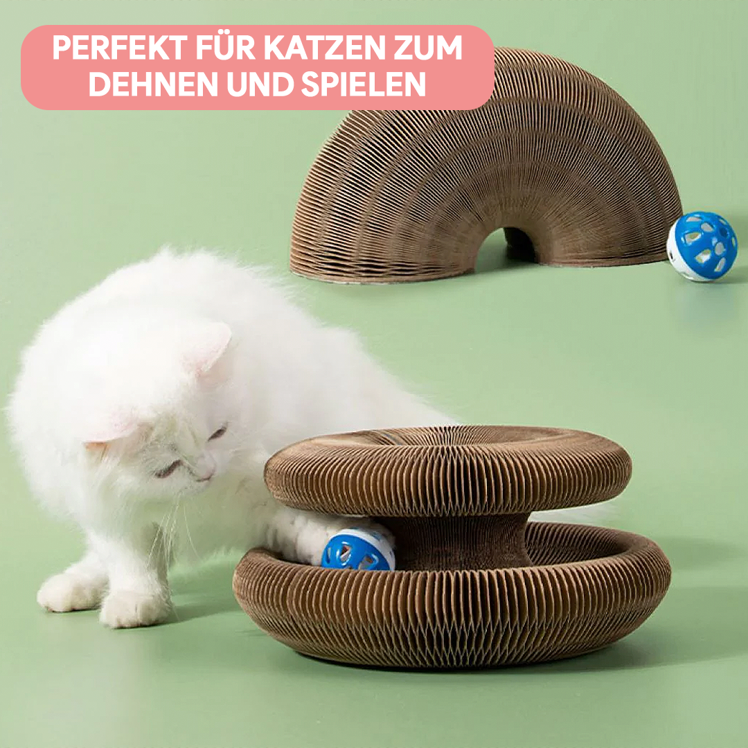 Deinlieblingstier Katzenspielzeug - Magisches Orgel Kratzbrett_4