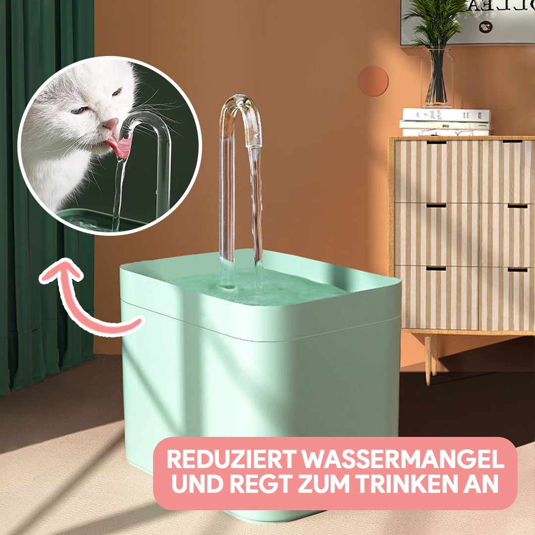 Katzen Trinkbrunnen - Katzenbrunnen mit Wasserfilter
