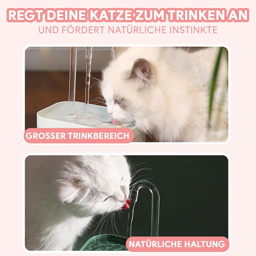 Katzen Trinkbrunnen - Katzenbrunnen mit Wasserfilter