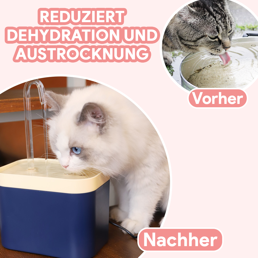 Katzen Trinkbrunnen - Katzenbrunnen mit Wasserfilter