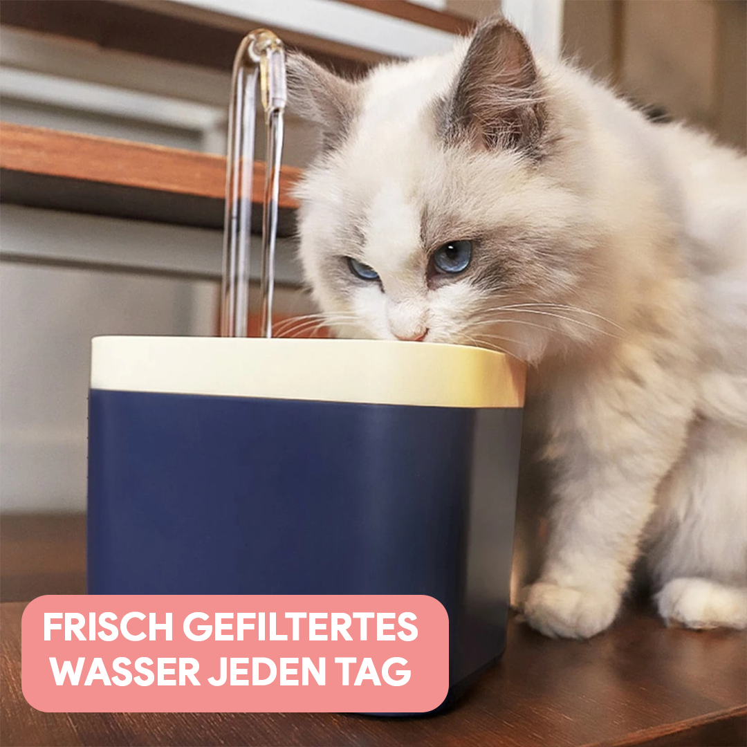 Katzen Trinkbrunnen - Katzenbrunnen mit Wasserfilter