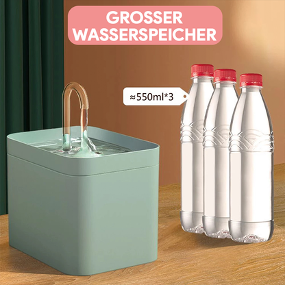 Katzen Trinkbrunnen - Katzenbrunnen mit Wasserfilter