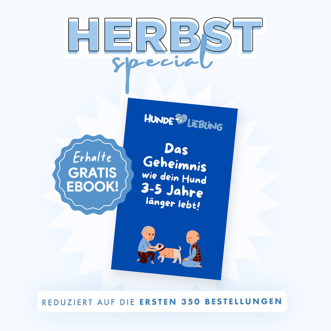 Wasserdichte Autoschutzdecke
