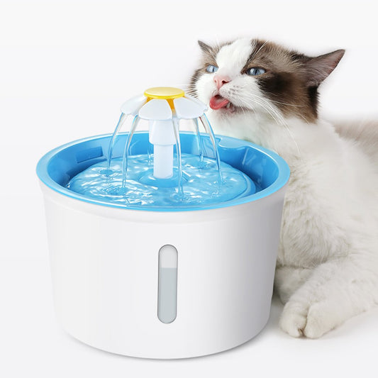 Trinkbrunnen für Katzen - Testsieger