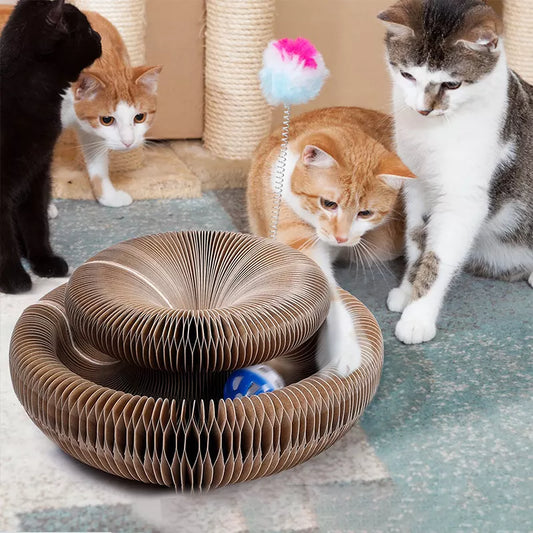 Deinlieblingstier Katzenspielzeug - Magisches Orgel Kratzbrett
